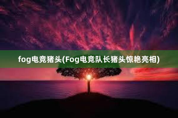 fog电竞猪头(Fog电竞队长猪头惊艳亮相)