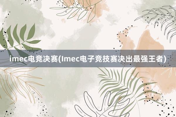 imec电竞决赛(Imec电子竞技赛决出最强王者)