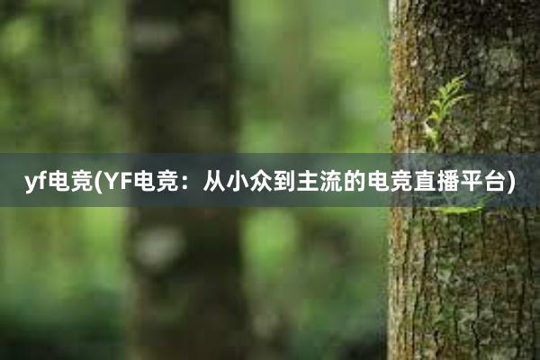 yf电竞(YF电竞：从小众到主流的电竞直播平台)