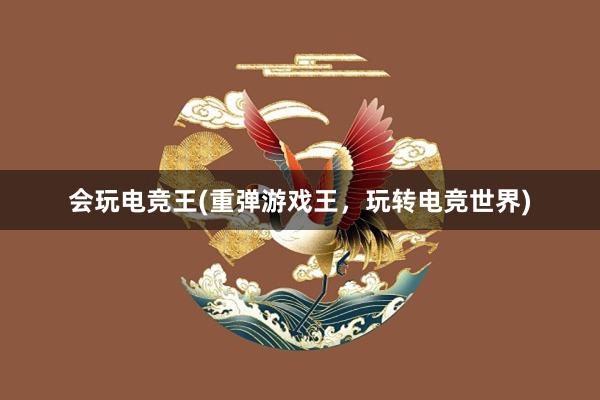 会玩电竞王(重弹游戏王，玩转电竞世界)