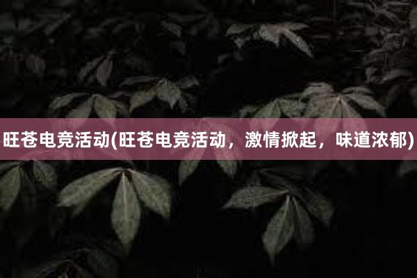 旺苍电竞活动(旺苍电竞活动，激情掀起，味道浓郁)