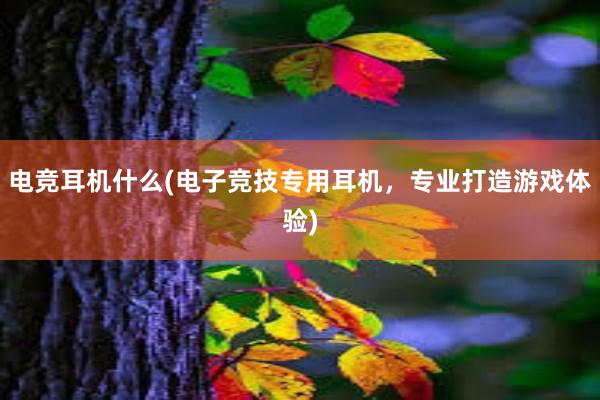 电竞耳机什么(电子竞技专用耳机，专业打造游戏体验)