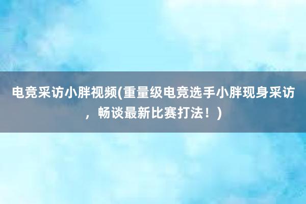 电竞采访小胖视频(重量级电竞选手小胖现身采访，畅谈最新比赛打法！)