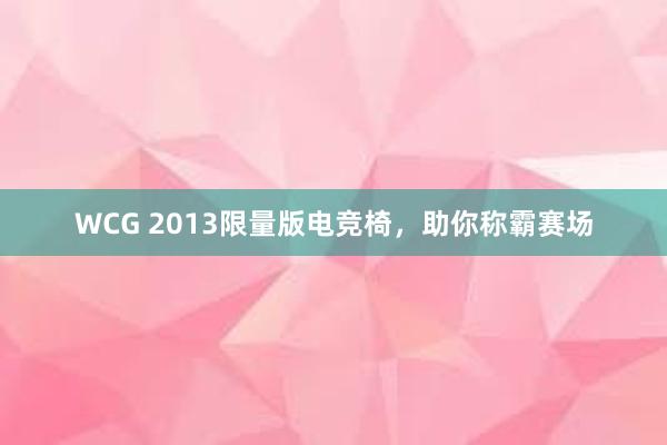 WCG 2013限量版电竞椅，助你称霸赛场