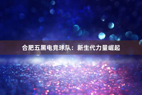 合肥五黑电竞球队：新生代力量崛起