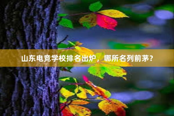 山东电竞学校排名出炉，哪所名列前茅？