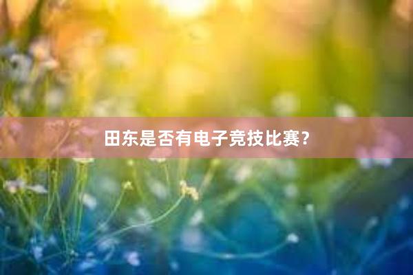 田东是否有电子竞技比赛？