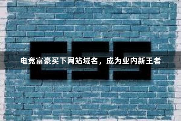 电竞富豪买下网站域名，成为业内新王者