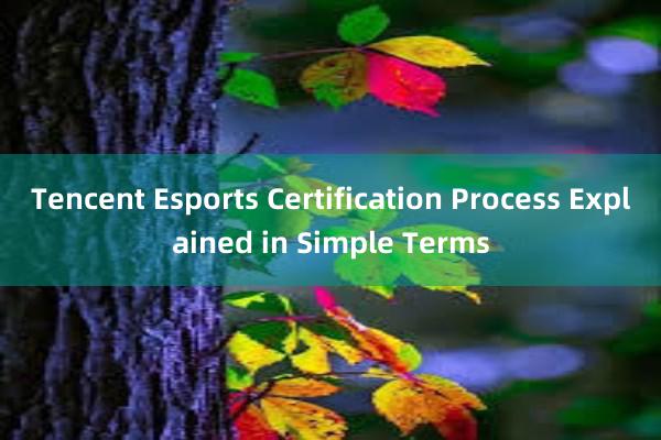 Tencent Esports Certification Process Explained in Simple Terms