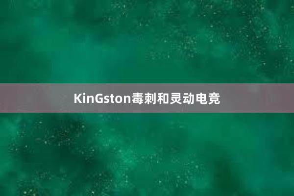 KinGston毒刺和灵动电竞