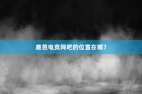 鹿邑电竞网吧的位置在哪？